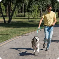 team